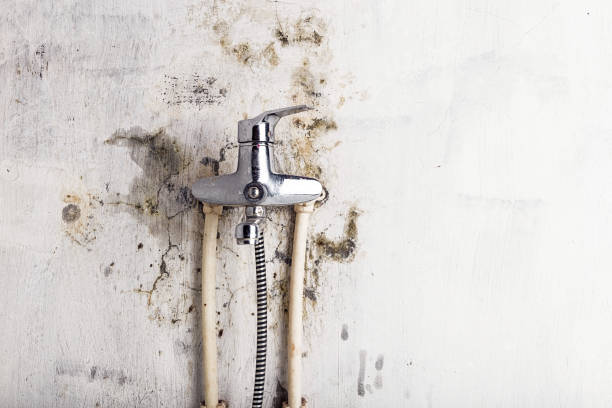 Best Water Damage Restoration  in Copperas Cove, TX