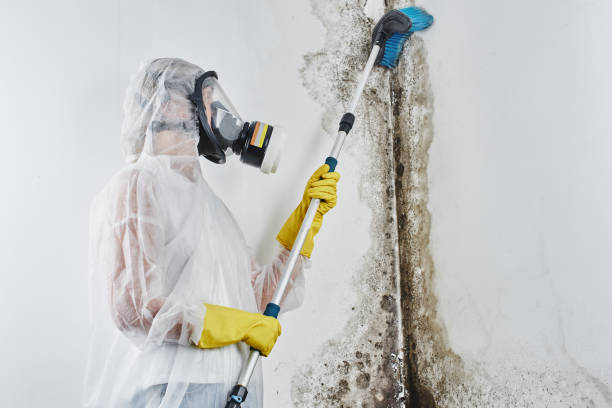 Water Damage Restoration in Copperas Cove, TX
