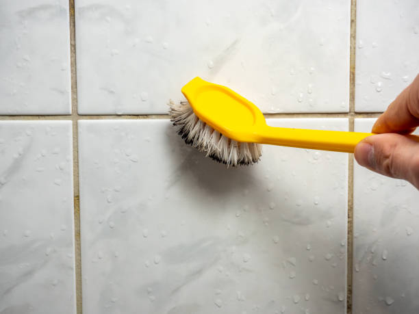 Best Mold Remediation  in Copperas Cove, TX