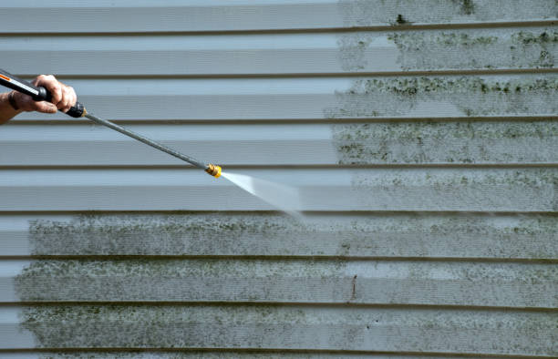Mold Removal Process in Copperas Cove, TX