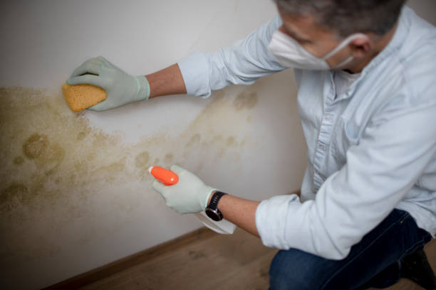 Best Crawl Space Mold Removal  in Copperas Cove, TX