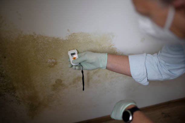 Best Crawl Space Mold Removal  in Copperas Cove, TX