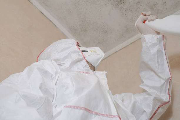Copperas Cove, TX Mold Removal Company