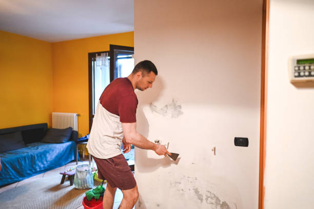 Best Emergency Mold Removal  in Copperas Cove, TX