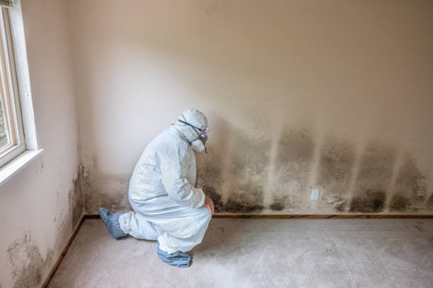 Best Mold Removal Process  in Copperas Cove, TX